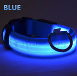 blue LED Dog Collar