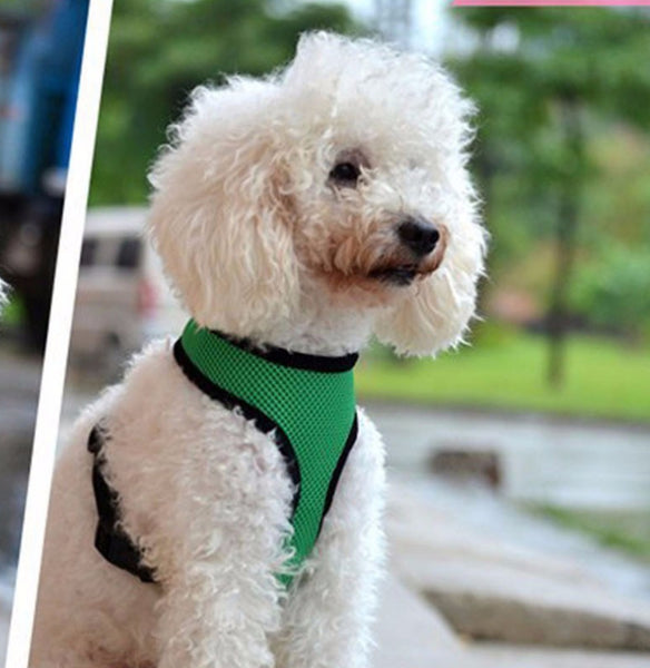 Harness - Dog Vest Harness