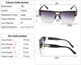 Sunglasses - Carver Sunglasses