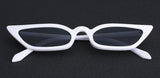 nerd Sunglasses