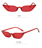 Sunglasses - Libra Sunglasses