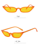 Sunglasses - Libra Sunglasses